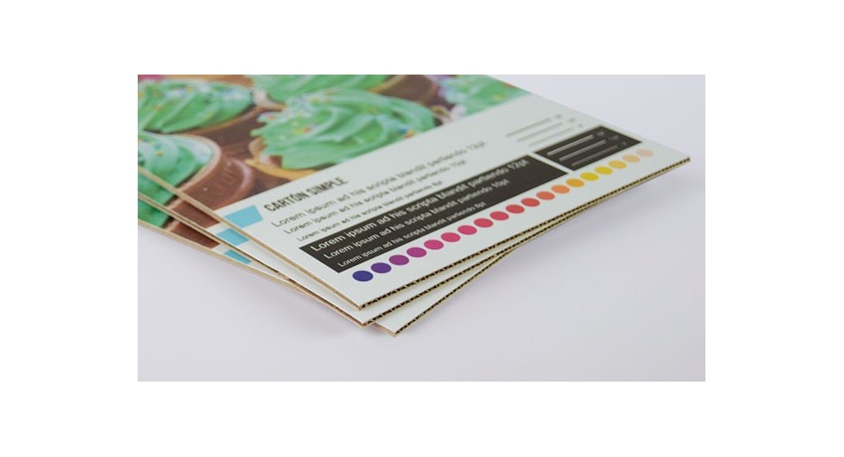 Carton microcanal simple