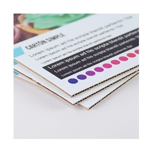 Carton microcanal simple