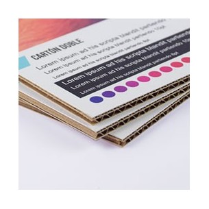 Carton microcanal doble