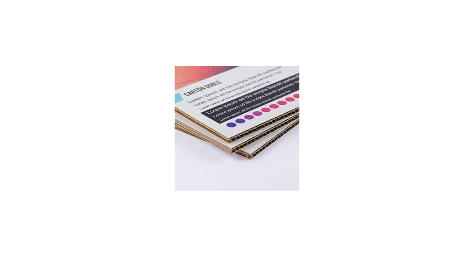 Carton microcanal doble