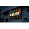 Impresión digital sobre vinilo translucido  |  Desde 7.99 €/m2
