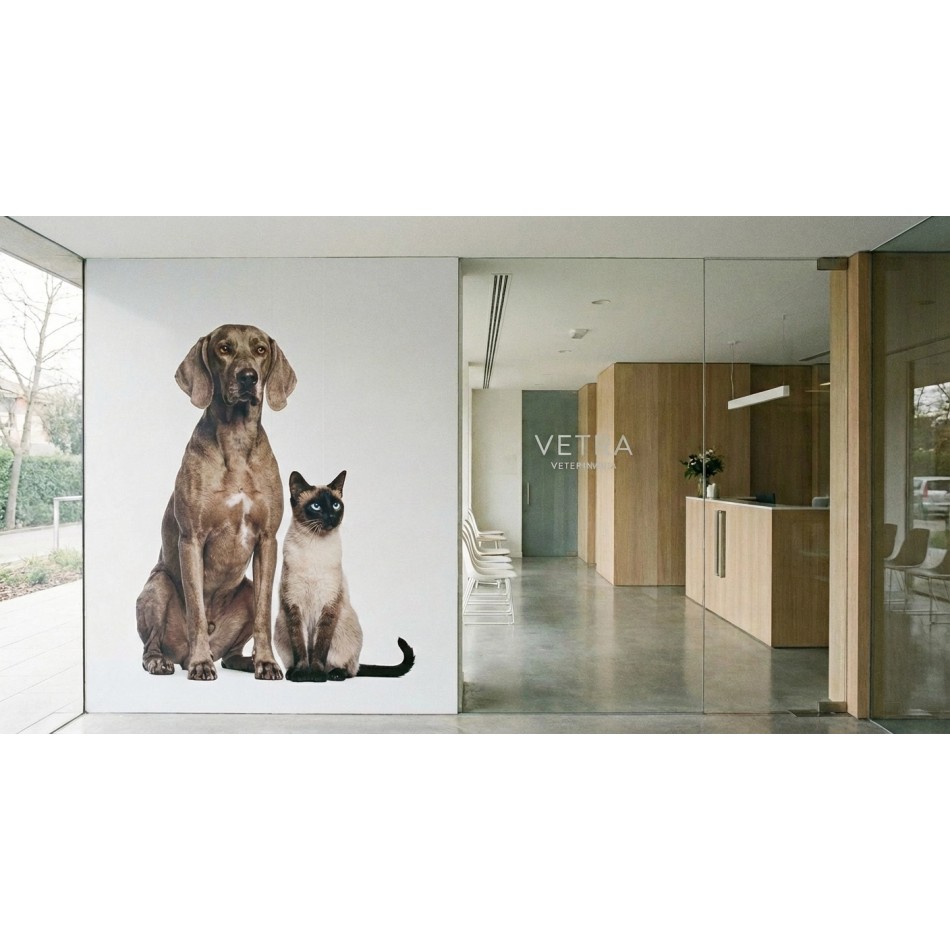 Vinilos adhesivos para pared | Desde 7.5 €m2