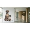 Vinilos adhesivos para pared | Desde 7.5 €m2